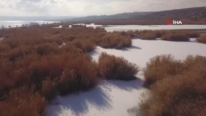 Ahlat'taki kuş cenneti dondu
