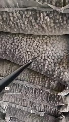 Self healing bags, smart innovation #shorts #viral #shortsvideo #video #innovationhub