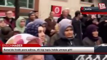 Bursa’da fındık para edince, 45 kişi toplu halde umreye gitti