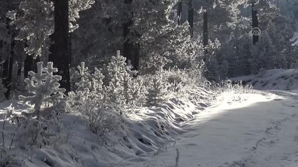 Soğuk hava ve kar etkili oluyor