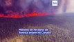 Fogo já devastou 3,8 milhões de hectares de floresta canadiana