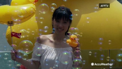 Giant duck arrives to Hong Kong with friend