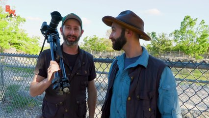 BEE BEARD vs MAN BEARD