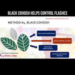 Black cohosh helps control hot flashes