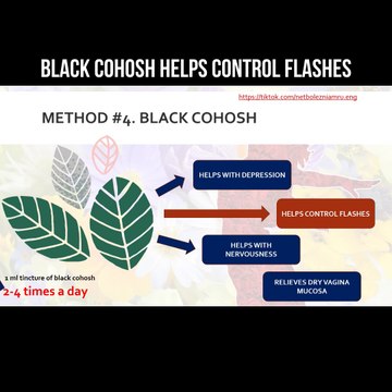 Black cohosh helps control hot flashes