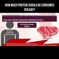 How much protein should be consumed per day?