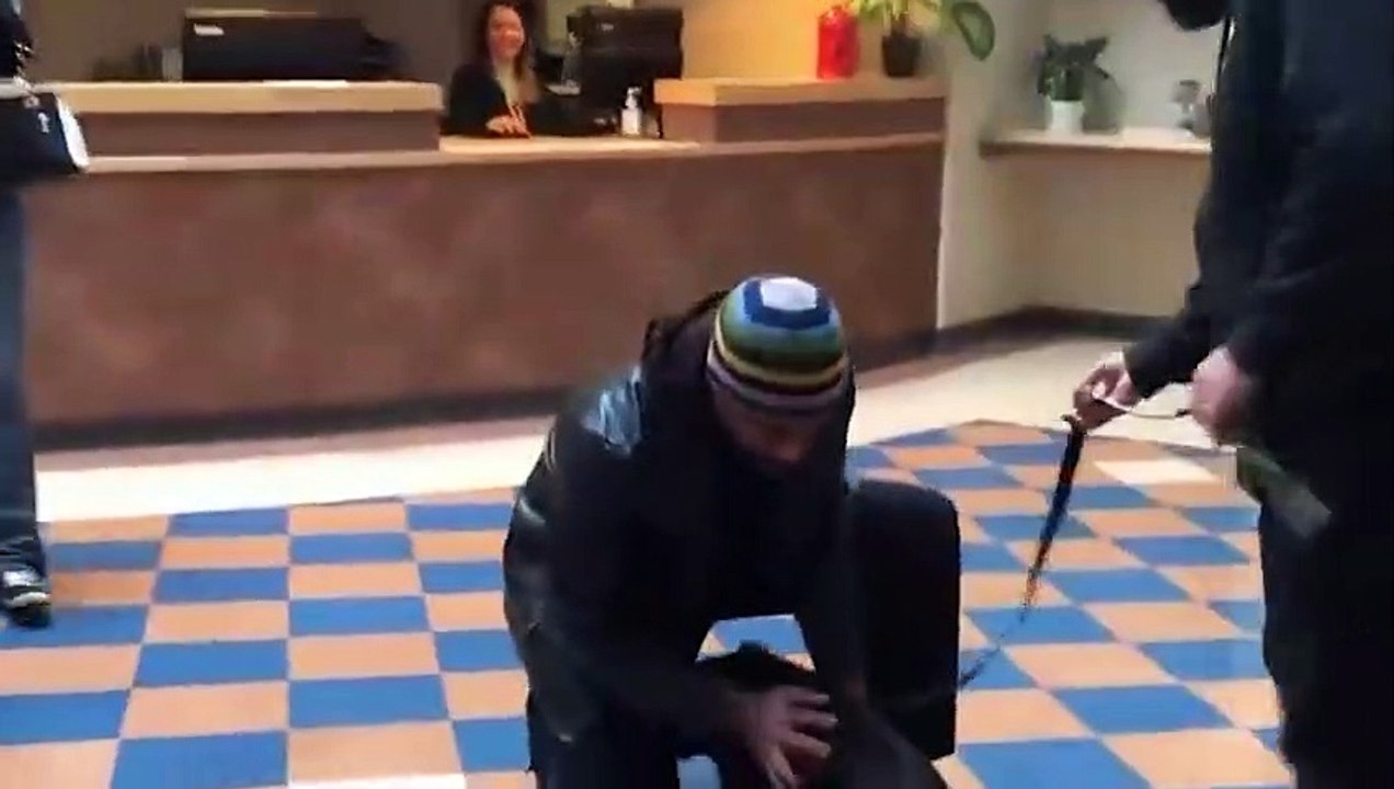 Haustiere die nach JAHREN wieder mit ihren Besitzern vereint werden!