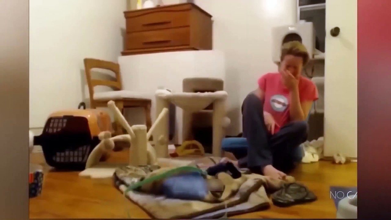 Funniest Cats And Dogs Videos  - Best Funny Animal Videos 2023   #11