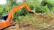Hitachi Excavators Handle Land Clearing in Mountain Plantations