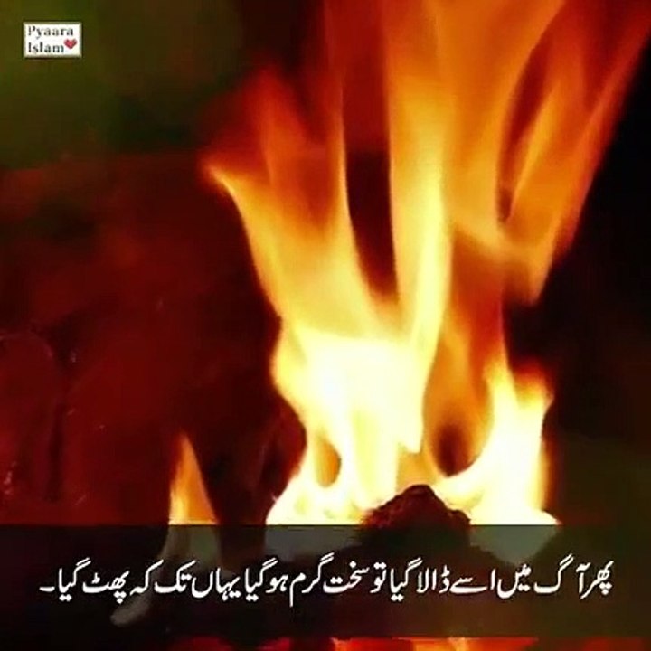 VID-20230604-WA0001