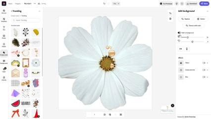 Adobe Express Course Section 15 Inserting and Working with Design Assets