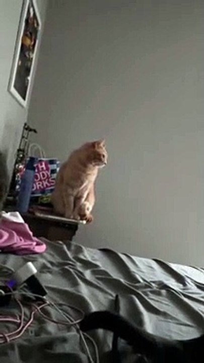 When the Food Bowl Is Empty
