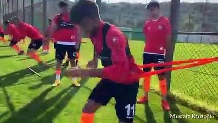 Силовая тренировка