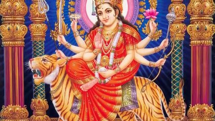 الدب العملاق يحطم النمر ويذيقه مرارة الهزيمة - عندما تفقد النمور هيبتها!