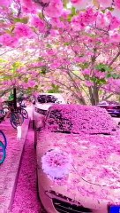 VID-20230604-WA0010