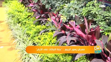 معرض زهور الربيع .. جنة النباتات على الأرض