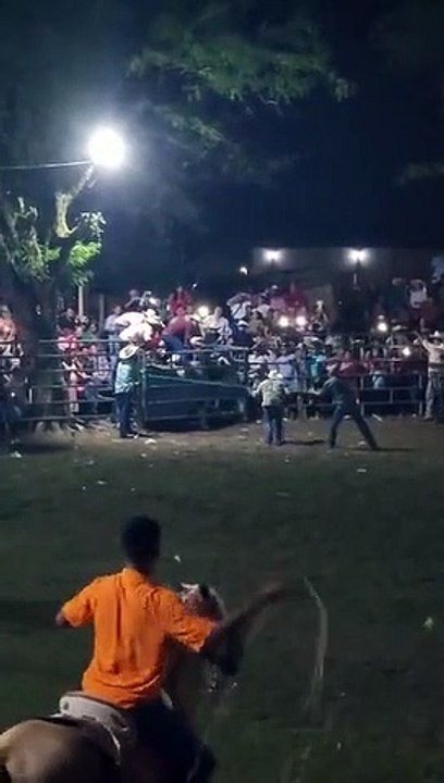 Rodeo Rider Caught Under Bucking Bull