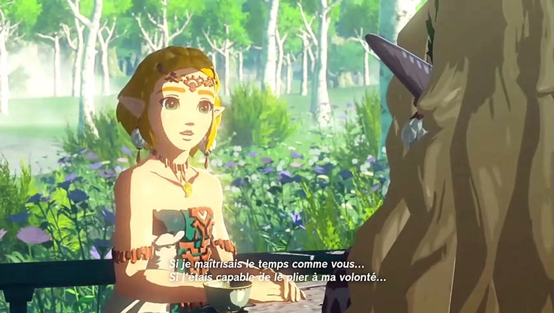 Zelda Tears of The Kingdom : Tous les souvenirs en Film FR | Toutes les  larmes de dragon TOTK