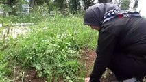 Vefat eden çocuklarının mezarını paylaşamadılar