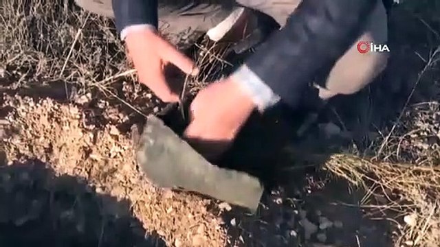 Bozkırın yeşile bürünmesine katkı sağlamaya devam ediyor