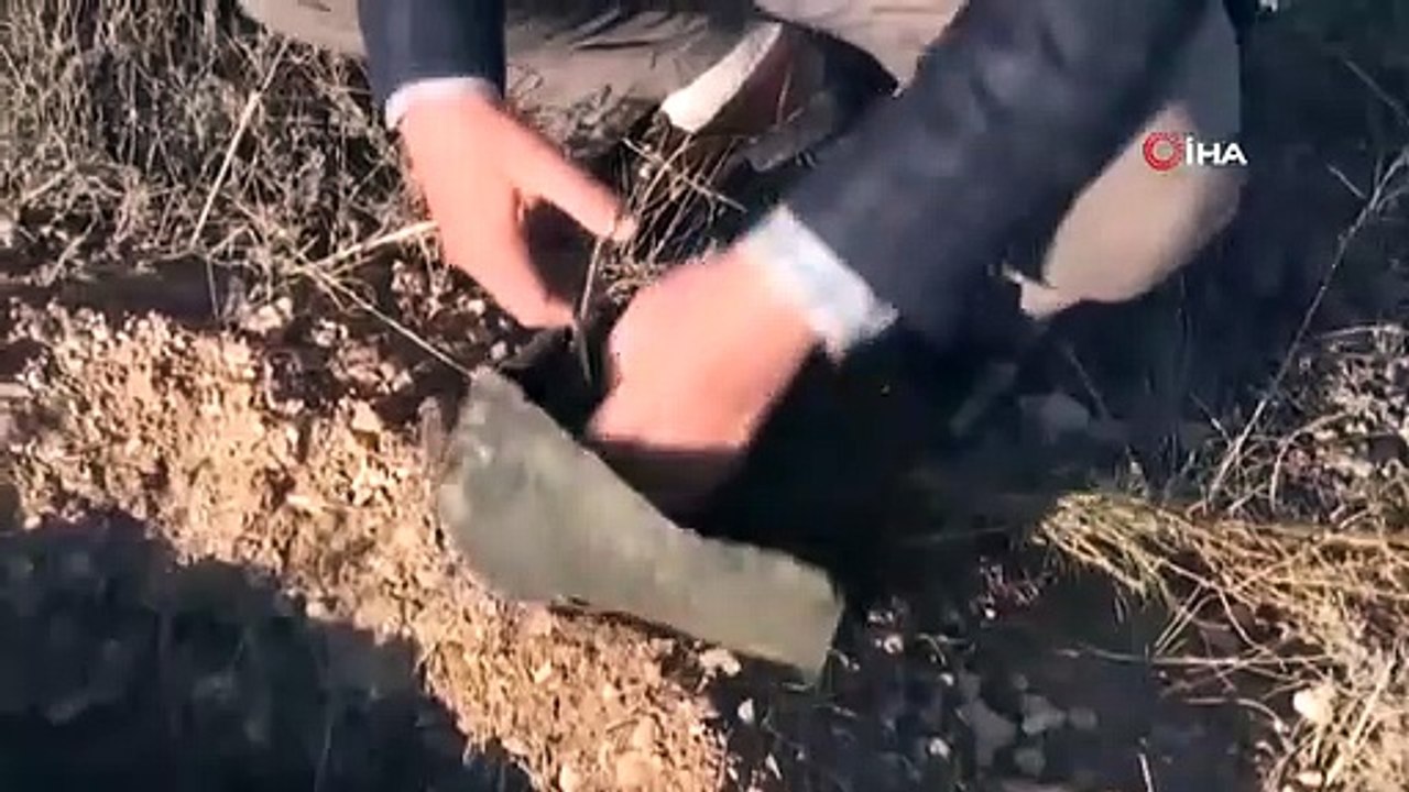 Bozkırın yeşile bürünmesine katkı sağlamaya devam ediyor