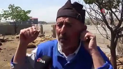 Sabah ahıra gidince acı manzarayla karşılaştı