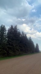 La tornade de Landspout se forme et se dissipe à Stettler Canada