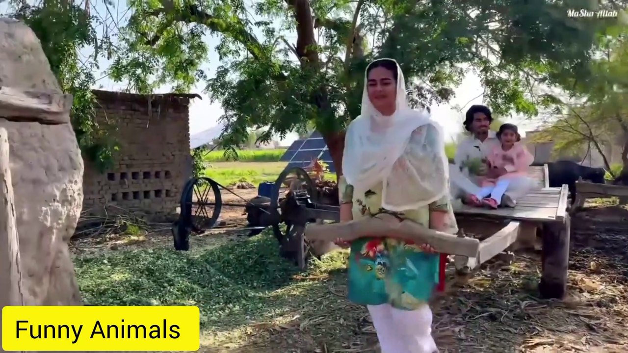 Village Life Desi Mahol Village girls working World Life Village