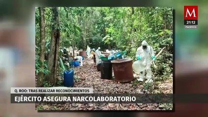 Es desmantelado un Narco Laboratorio por el Ejército en Quintana Roo