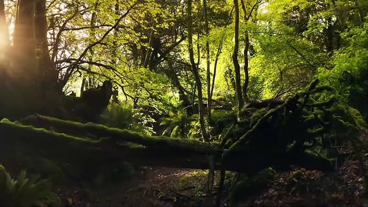 S2022E35 Dinosaurs The Final Day with David Attenborough