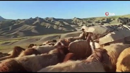 Le voyage des nomades dans les Highlands continue