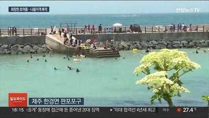 모처럼 화창 바다·축제장 '북적'…현충일까지 맑음