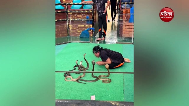 Video : सांपों संग मस्ती करता शख्स, फिर कुछ ऐसा हुआ, देख सन्न रह गए लोग