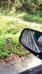 Darjeeling (India) Scenic Beauty- Part1