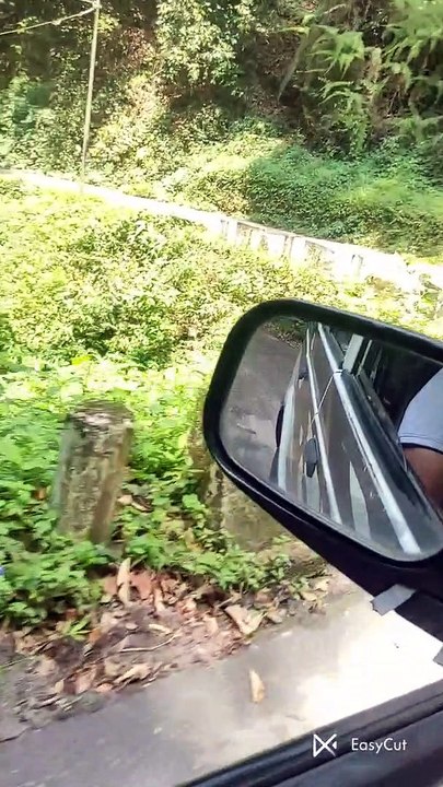 Darjeeling (India) Scenic Beauty- Part1