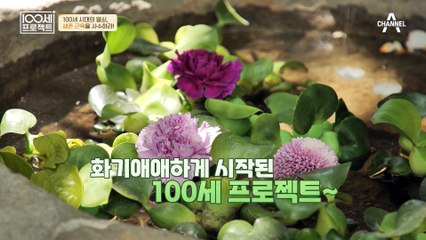 내 건강을 위해 사수해야 하는 '생존 근육'♨ 생존 근육이 무너지면 기본적인 생활이 무너진다?