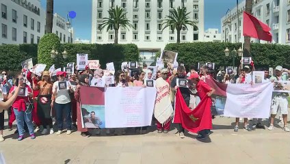 مدافعون عن حقوق الحيوان في المغرب يطالبون بحظر قتل الكلاب الضالة