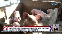 Pag-subsidize ng gobyerno sa ASF Vaccine, hiling ng grupo ng hog raisers | 24 Oras Weekend