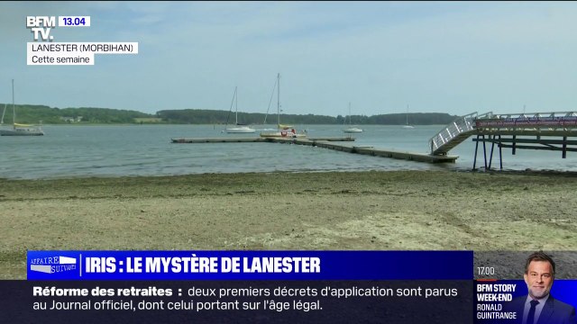 Une semaine après la découverte du corps d'Iris à Lanester dans le Morbihan, le mystère reste entier