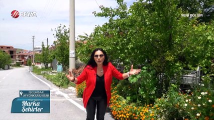 Marka Şehirler 4 Haziran 2023