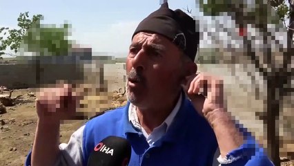 Ahıra giren kurtlar 170 küçükbaş hayvanı telef etti! Besicinin elinde bir tek kredi borcu kaldı