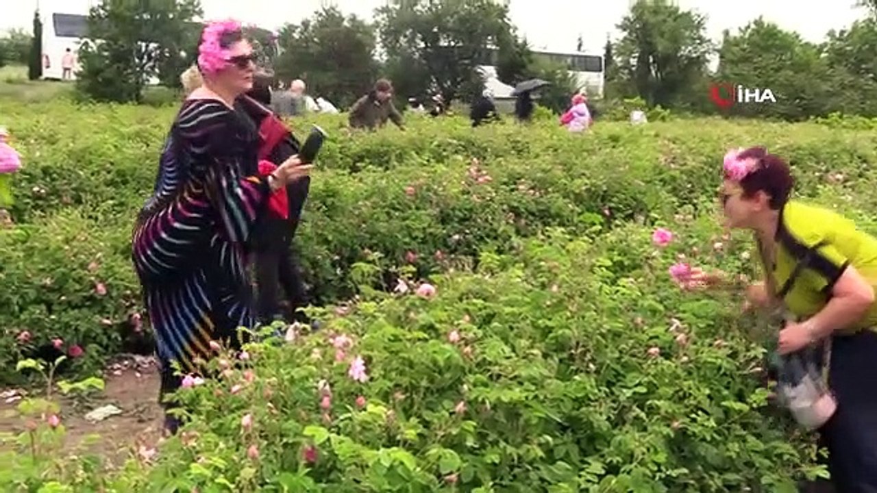 Événement de cueillette de roses au Festival international des roses