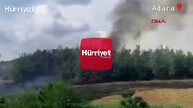 Adana'nın Sarıçam ilçesinde başlayan anız yangınında, alevler ormana sıçradı