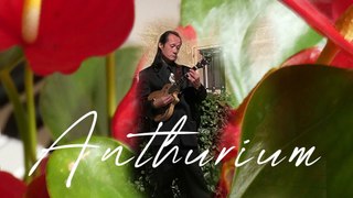 Anthurium-ChrisWilson