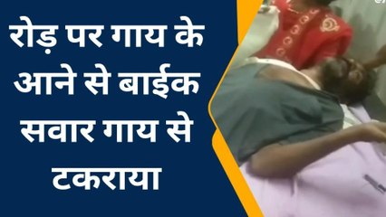 भीलवाड़ा: सड़क पर गाय से टकराकर बाइक सवार घायल, जिला अस्‍पताल किया रैफर