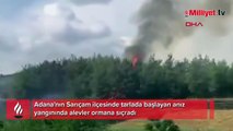 Adana'da anız yangınında alevler ormana sıçradı