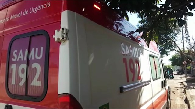 Ataque de abelhas mobiliza equipes do Samu e Corpo de Bombeiros no Parque dos Ipês