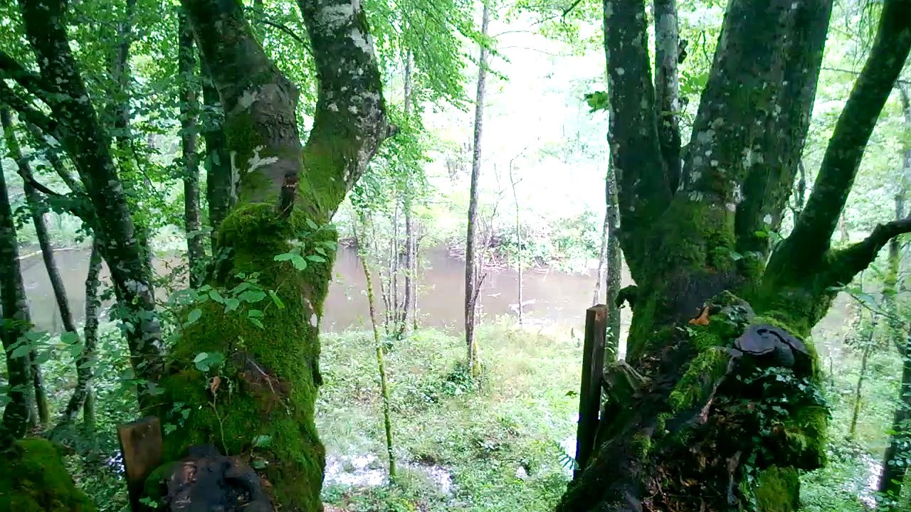 SEMEŠNICA-DONJI VAKUF-BOSNIA AND HERCEGOVINA