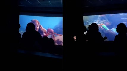 Fight breaks out in cinema during The Little Mermaid screening: ‘I need a refund’