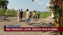 Dilaporkan Hilang, Ternyata Korban Ditemukan Tewas Tersengat Listrik Jebakan Tikus di Sawah